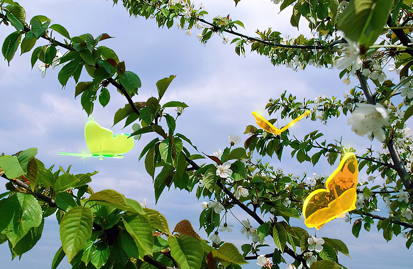 Sonnenfänger Lichtzauber - Schmetterling groß 20 cm gebogen grün-/bilder/big/1019431_3.jpg
