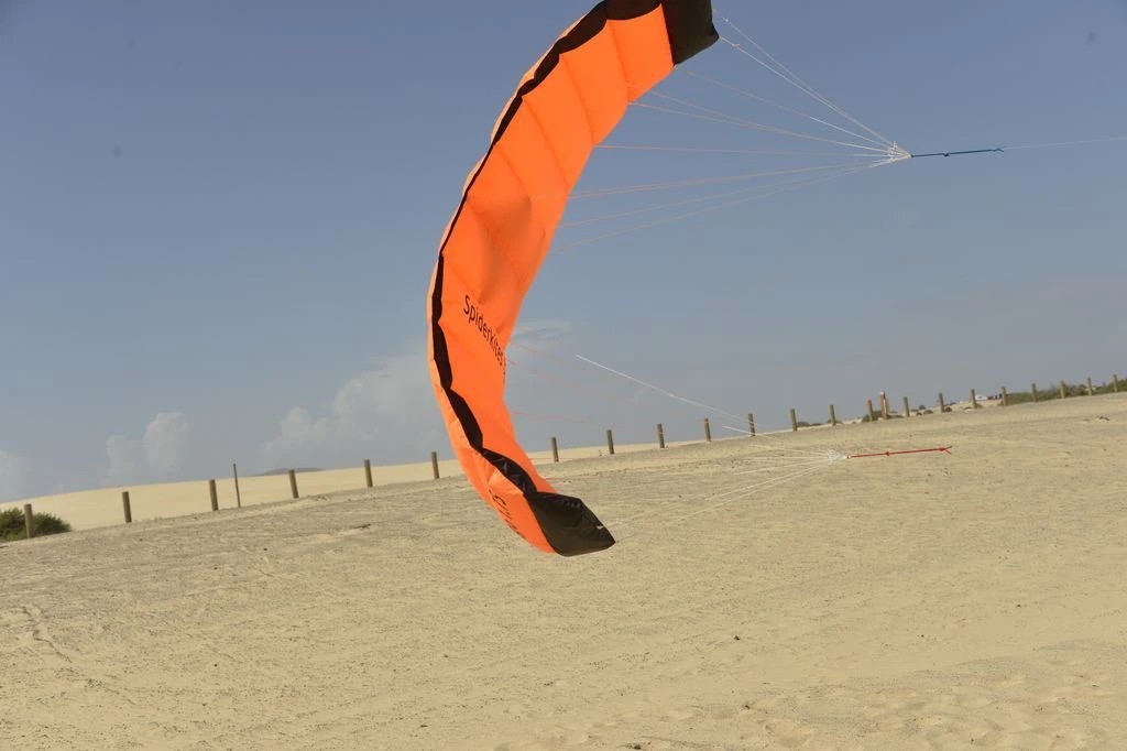 Spiderkites Amigo 1.75  Zweileiner-Lenkdrachen-/bilder/big/0110022_5.jpg