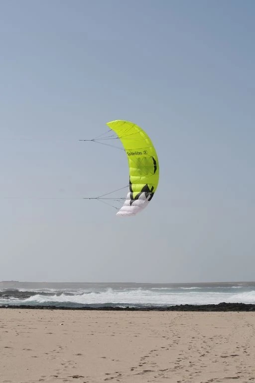 Spiderkites Wasabi 1.5  Zweileiner-Lenkdrachen-/bilder/big/0110031_5.jpg