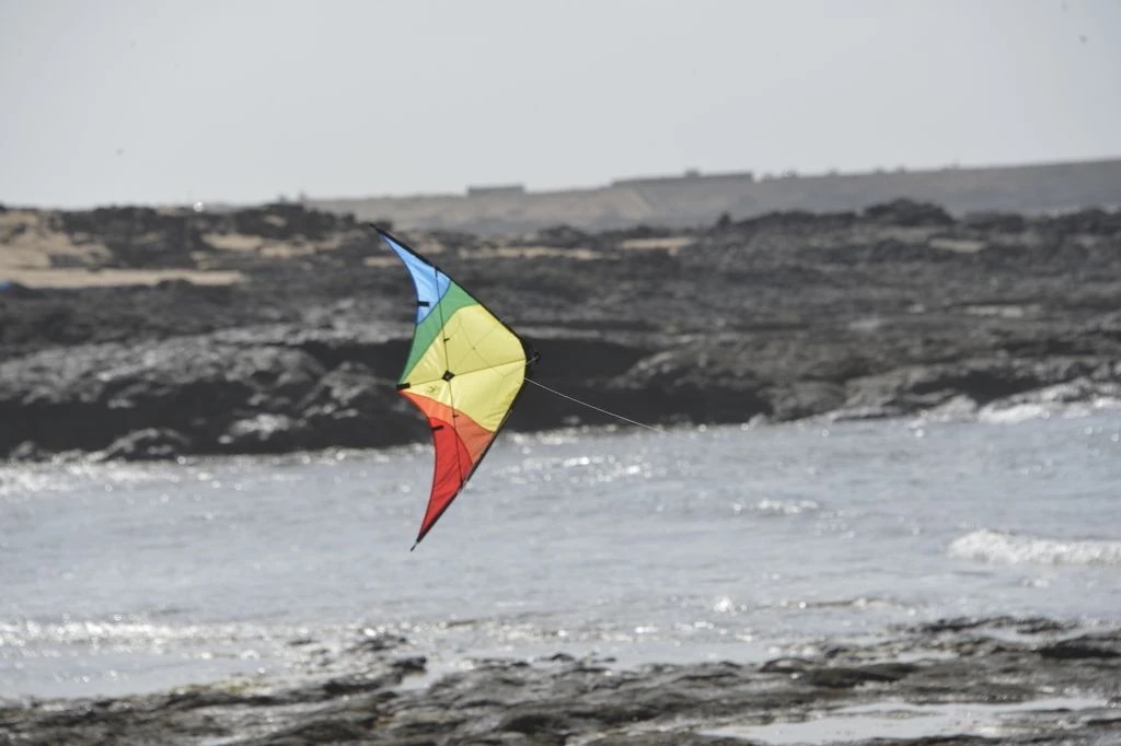 Spiderkites Buddy - Zweileiner-Lenkdrachen/Stabdrachen (2-Leiner) rtf-/bilder/big/0120015_2.jpg
