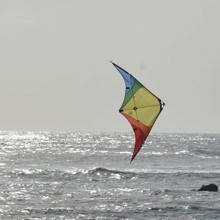 Spiderkites Buddy - Zweileiner-Lenkdrachen/Stabdrachen (2-Leiner) rtf-/bilder/big/0120015_3.jpg