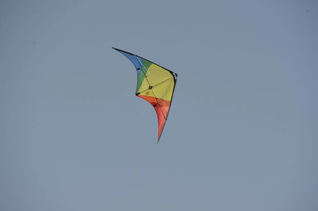 Spiderkites Buddy - Zweileiner-Lenkdrachen/Stabdrachen (2-Leiner) rtf-/bilder/big/0120015_4.jpg