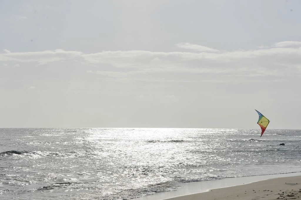 Spiderkites Buddy - Zweileiner-Lenkdrachen/Stabdrachen (2-Leiner) rtf-/bilder/big/0120015_5.jpg