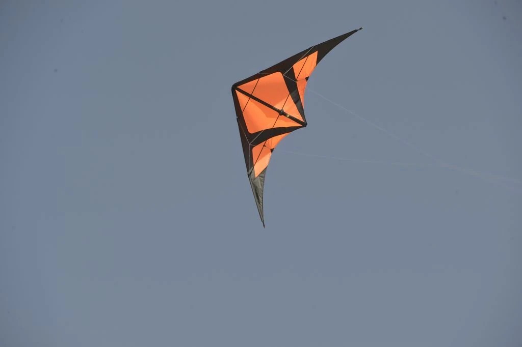 Spiderkites Gangsta - Zweileiner-Lenkdrachen/Stabdrachen (2-Leiner)-/bilder/big/0120021_2.jpg