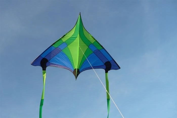 Spiderkites Concord Delta Einleiner-Lenkdrachen (1-Leiner) rtf-/bilder/big/0130008_2.jpg