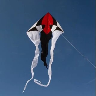 Spiderkites Flux Delta black & white Einleiner-Lenkdrachen (1-Leiner)-/bilder/big/0130038_2.jpg