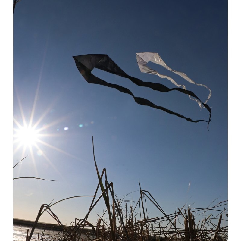 Spiderkites Pyro Delta Black Einleiner-Lenkdrachen (1-Leiner) rtf (flugfertig) 180 cm x 690 cm Gfk-Gestänge schwarz