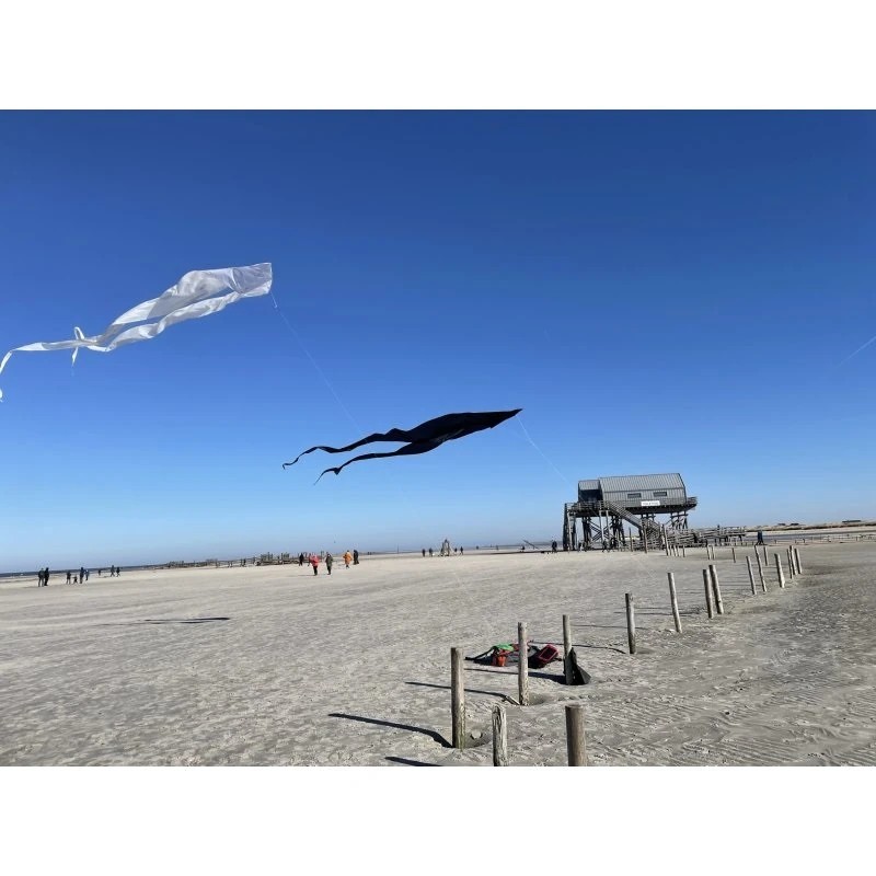 Spiderkites Pyro Delta White Einleiner-Lenkdrachen (1-Leiner) rtf-/bilder/big/0130081_2.jpg