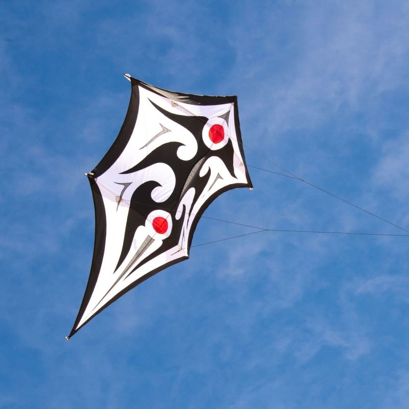 Spiderkites Carsten Domanns Sky Shield Einleiner-Drachen / (2-Leiner)-/bilder/big/0130096_2.jpg