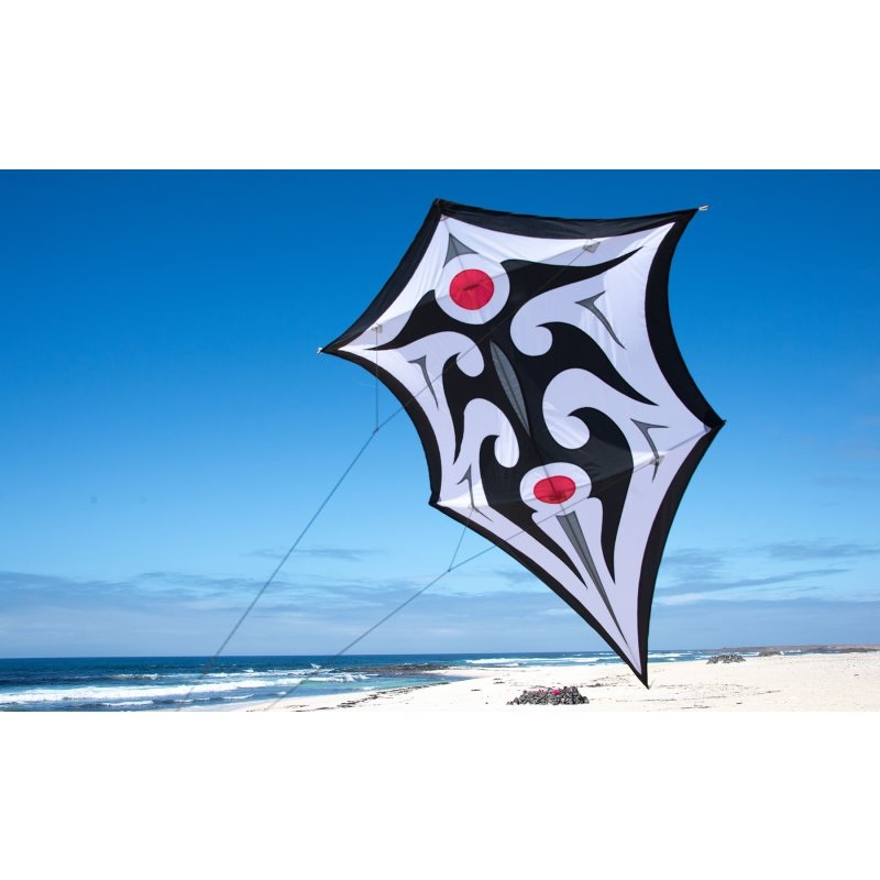 Spiderkites Carsten Domanns Sky Shield Einleiner-Drachen / (2-Leiner)-/bilder/big/0130096_4.jpg