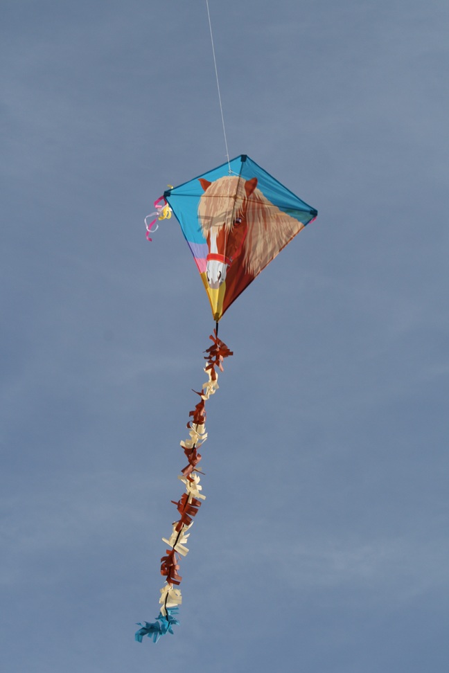 Spiderkites - Einleiner-Drachen/Kinderdrachen (Eddy/1-Leiner) rtf-/bilder/big/0140006_1.jpg