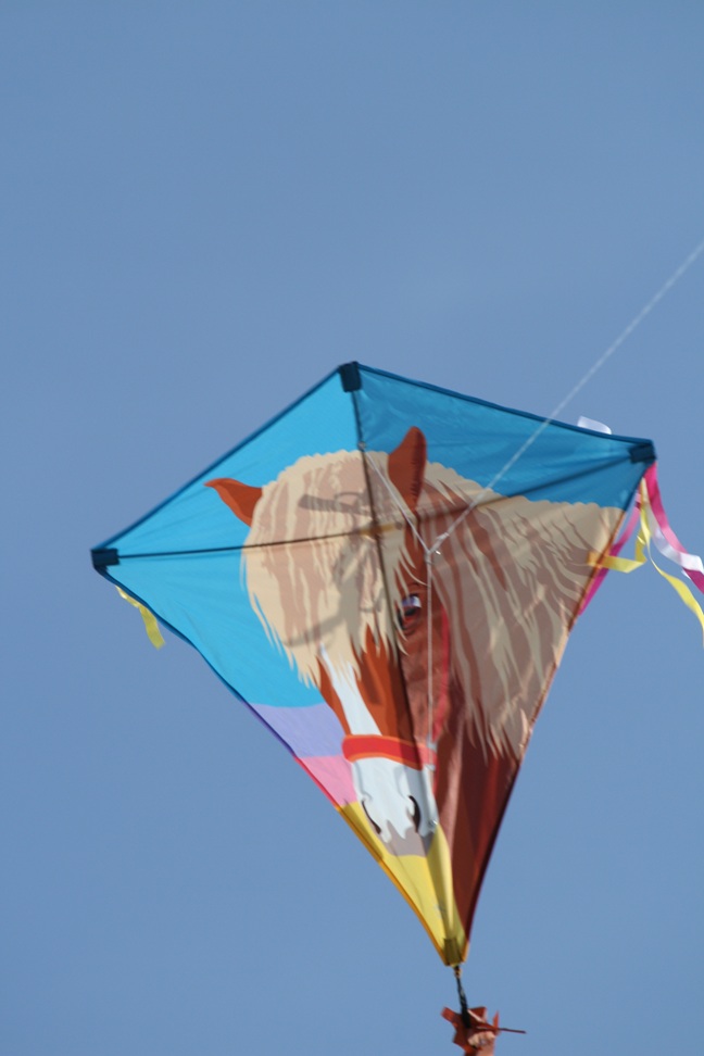 Spiderkites - Einleiner-Drachen/Kinderdrachen (Eddy/1-Leiner) rtf-/bilder/big/0140006_2.jpg