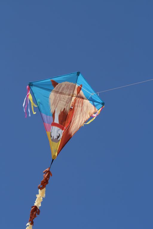 Spiderkites - Einleiner-Drachen/Kinderdrachen (Eddy/1-Leiner) rtf-/bilder/big/0140006_3.jpg