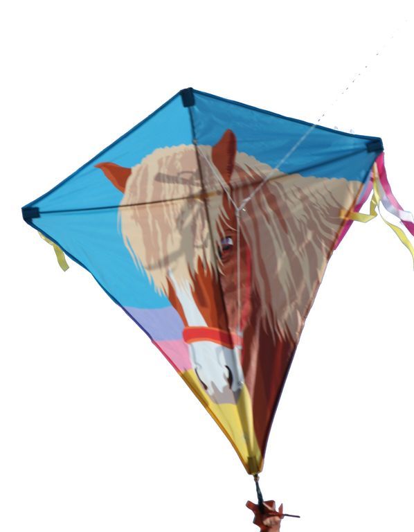 Spiderkites - Einleiner-Drachen/Kinderdrachen (Eddy/1-Leiner) rtf-/bilder/big/0140006_4.jpg