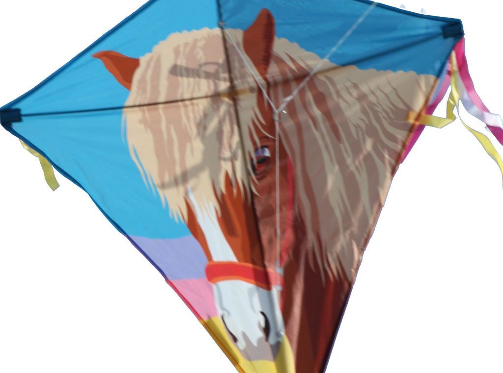 Spiderkites - Einleiner-Drachen/Kinderdrachen (Eddy/1-Leiner) rtf-/bilder/big/0140006_5.jpg