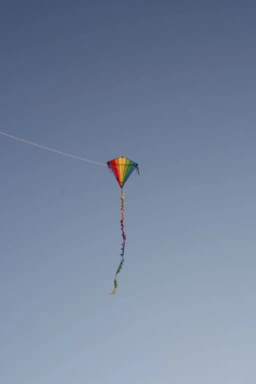 Spiderkites - Einleiner-Drachen/Kinderdrachen (Eddy/1-Leiner) rtf-/bilder/big/0140009_1.jpg