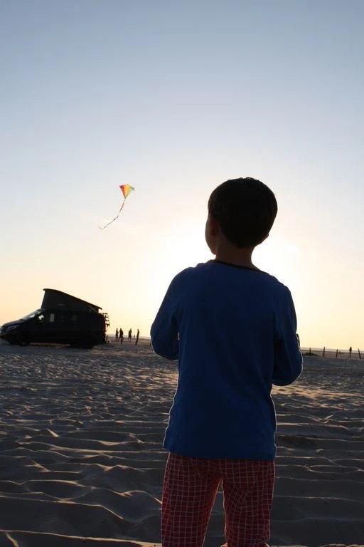 Spiderkites - Einleiner-Drachen/Kinderdrachen (Eddy/1-Leiner) rtf-/bilder/big/0140009_2.jpg