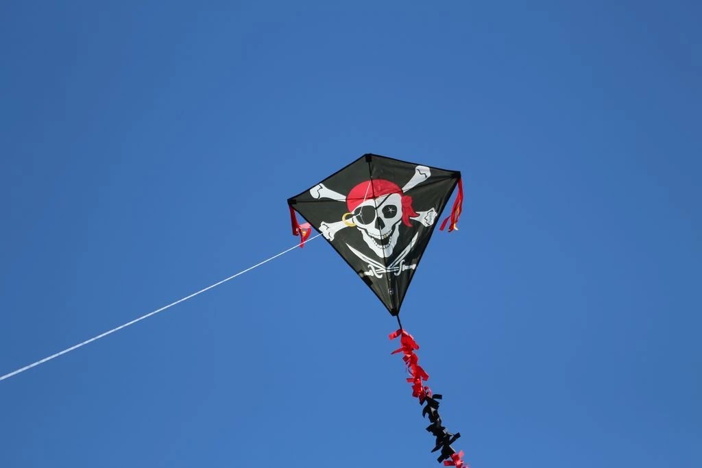 Spiderkites - Einleiner-Drachen/Kinderdrachen (Mini Eddy/1-Leiner) rtf-/bilder/big/0140010_2.jpg