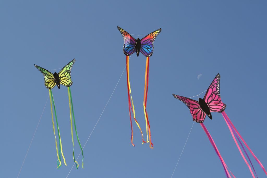 Spiderkites Schmetterling Einleiner-Drachen/Kinderdrachen (1-Leiner)-/bilder/big/0140011_2.jpg