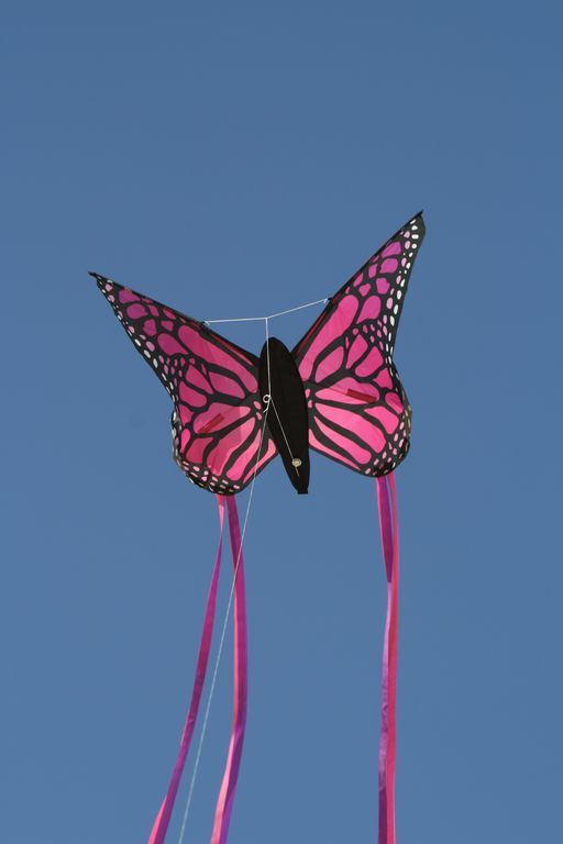Spiderkites Schmetterling Einleiner-Drachen/Kinderdrachen (1-Leiner) rtf (flugfertig) 90 cm x 66 cm Gfk-Gestänge pink
