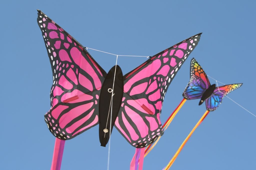 Riesige 90cm Schmetterlingsdrachen einzelne Linie Neuheit Tier Drachen KindeYU 