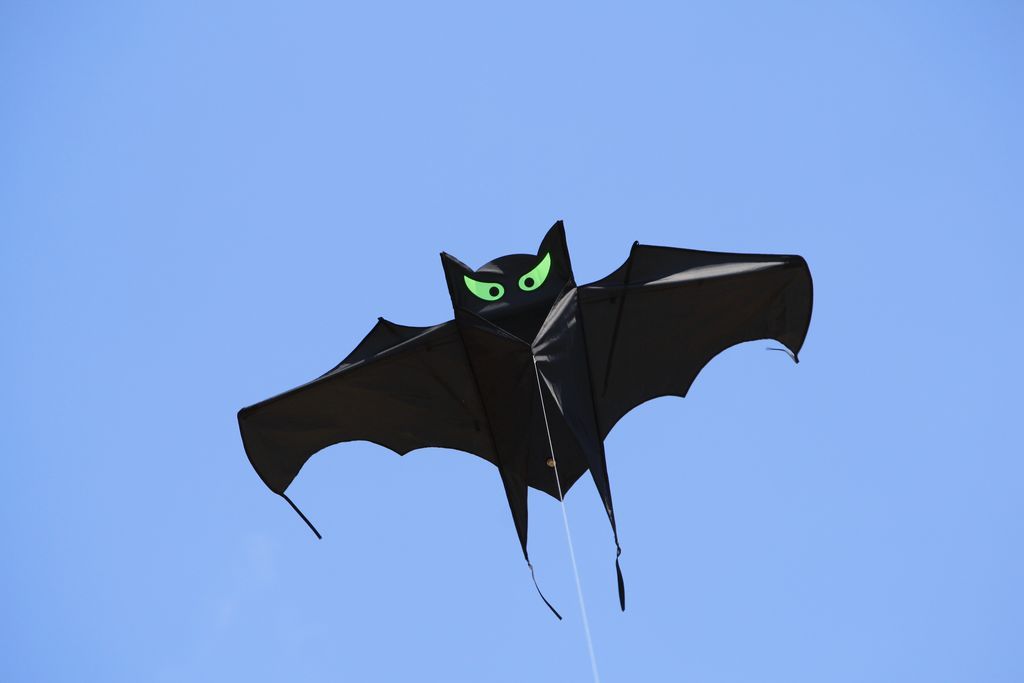 CIM Fledermaus Drachen Big Bat Vampire Kinderdrachen Drachenschnur Flugdrachen