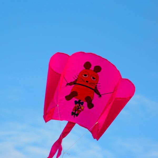 Elliot Einleiner-Drachen/Kinderdrachen (Mini-Eddy/1-Leiner) rtf-/bilder/big/1010310_2.jpg