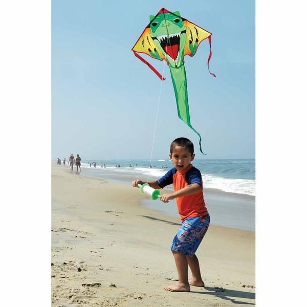 Premier Kites Delta Large Easy Flyer Kite --/bilder/big/1010414_2.jpg