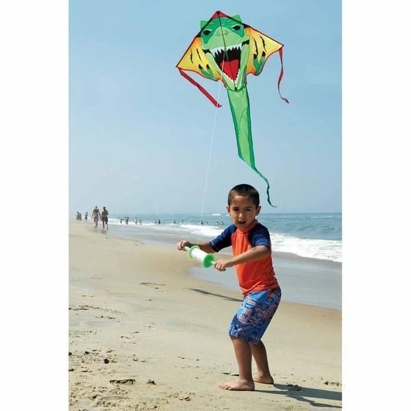Premier Kites Delta Large Easy Flyer Kite --/bilder/big/1010414_6.jpg