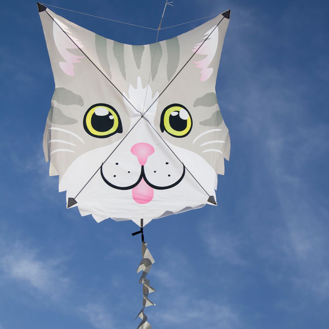 Premier Kites Gray Cat - Fun Flyer Einleiner-Drachen (1-Leiner) rtf - 62.5 cm x 62.5 cm Gfk-Gestänge grau