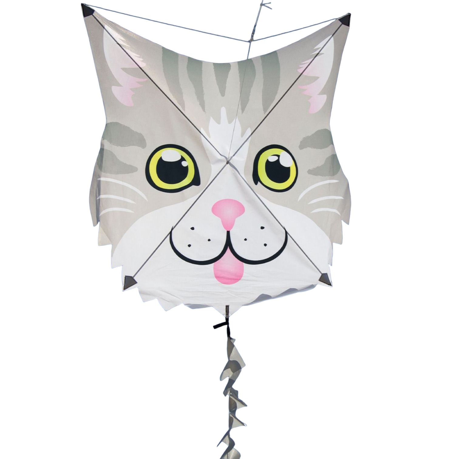 Premier Kites Gray Cat - Fun Flyer Einleiner-Drachen (1-Leiner) rtf - 62.5 cm x 62.5 cm Gfk-Gestänge grau