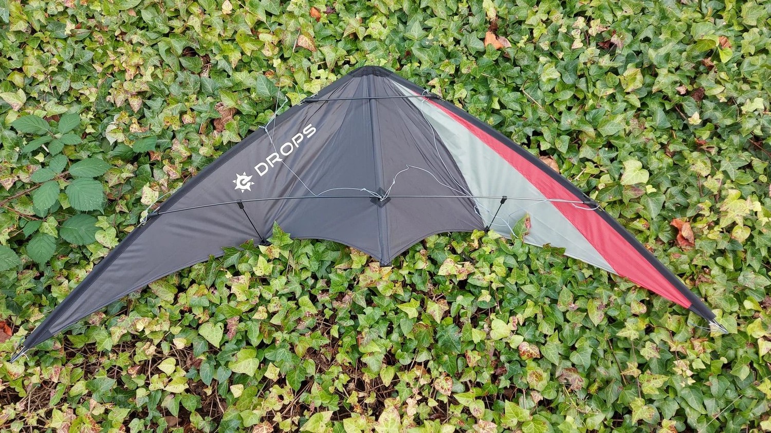 Elliot Drops Zweileiner-Lenkdrachen/Stabdrachen (2-Leiner) rtf (flugfertig) 160 cm x 75 cm Cfk-Vollstab 4 mm anthrazit/grau/rot