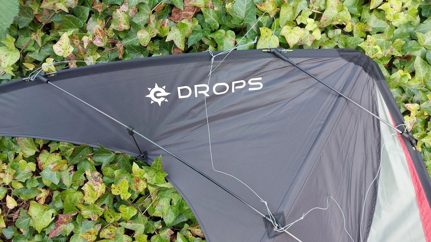 Elliot Drops Zweileiner-Lenkdrachen/Stabdrachen (2-Leiner) rtf-/bilder/big/1010631_2.jpg