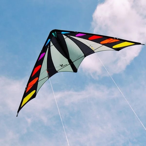 Elliot X-Dream Zweileiner-Lenkdrachen/Stabdrachen (2-Leiner) rtf-/bilder/big/1012499_2.jpg