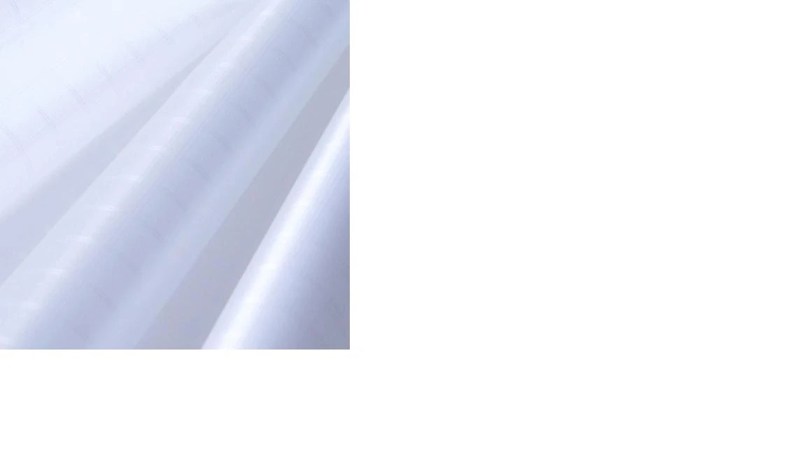 ICAREX Spinnakertuch-Polyester reißfestes Gewebetuch mit Ripstop-/bilder/big/1013880_5.jpg