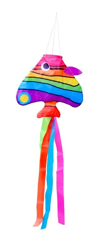 kleiner Windsack (Windfänger) - fröhliche Windrabauken Ronny Regenbogenfisch 16 cm x 14 cm x 60 cm bunt