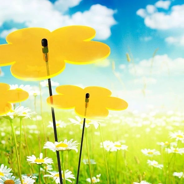 Sonnenfänger Lichtzauber - Blume mini 4 cm inkl. 20 cm Stab orange-/bilder/big/1019092_2.jpg