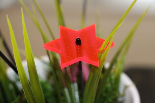 Sonnenfänger Lichtzauber - Stern groß 20 cm blau-/bilder/big/1019130_4.jpg