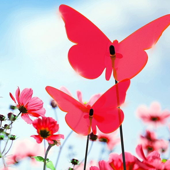 Sonnenfänger Lichtzauber - Schmetterling groß 20 cm gebogen rot-/bilder/big/1019433_2.jpg