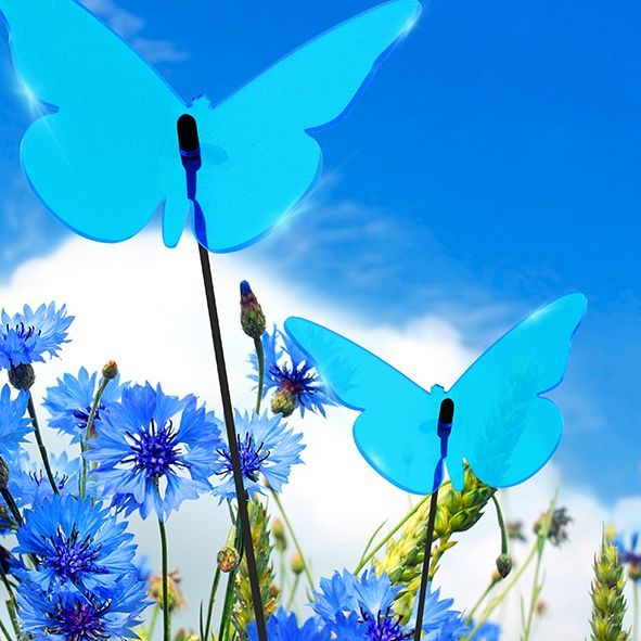 Sonnenfänger Lichtzauber - Schmetterling Magic Superior 50 cm blau-/bilder/big/1019440_2.jpg