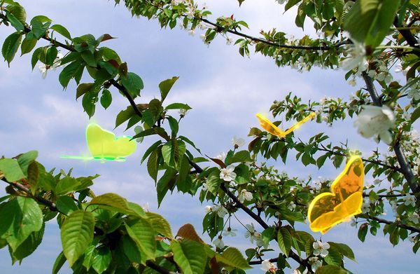 Sonnenfänger Lichtzauber - Schmetterling mittel 16 cm gebogen grün-/bilder/big/1019450_3.jpg