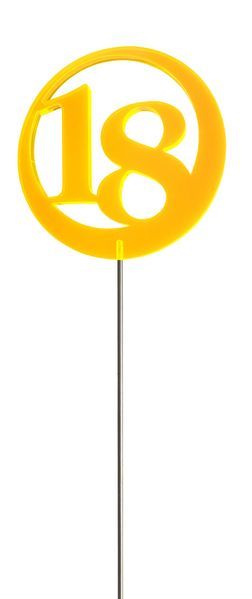 Sonnenfänger Lichtzauber - Jubiläumszahl/Jahreszahl "18" grün 6 cm inkl. 25 cm Stab