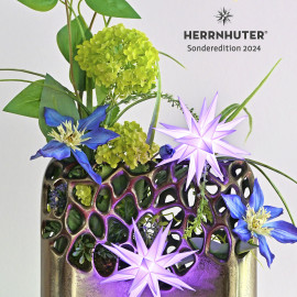 Herrnhuter Stern A1e Ø 13 cm Kunststoffstern inkl. LED - flieder - Sonderedition 2024-/bilder/big/1070153_2.jpg