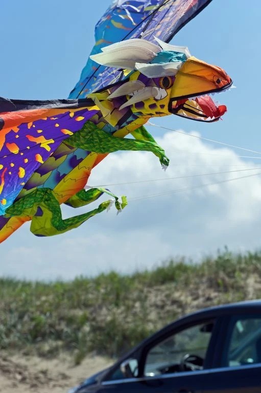 WindNSun 3D-Einleiner-Drachen/Kinderdrachen (1-Leiner) rtf (flugfertig) Drache 180 cm x 67 cm Polyestertuch mit Druck Gfk-Gestänge hot