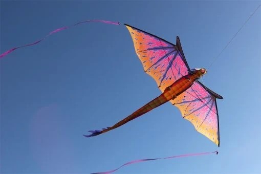 WindNSun 3D-Drache Giant/Kinderdrachen (1-Leiner) (nicht flugfertig)-/bilder/big/2180025_2.jpg