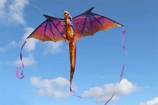 WindNSun 3D-Drache Giant/Kinderdrachen (1-Leiner) (nicht flugfertig)-/bilder/big/2180025_3.jpg