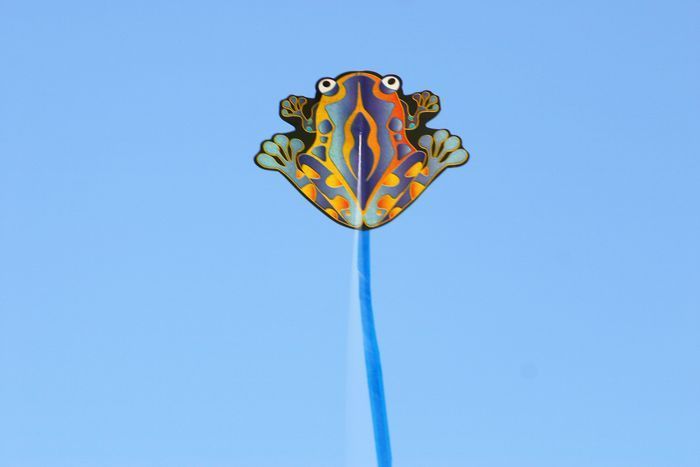 X-Kites Mini Micro Kites - Einleiner-Drachen/Kinderdrachen (1-Leiner)-/bilder/big/2181253_0_micro-frog.jpg