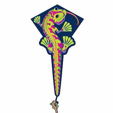 X-Kites DLX Diamond Einleiner-Drachen/Kinderdrachen (Eddy/1-Leiner)-/bilder/big/2181728_1.jpg