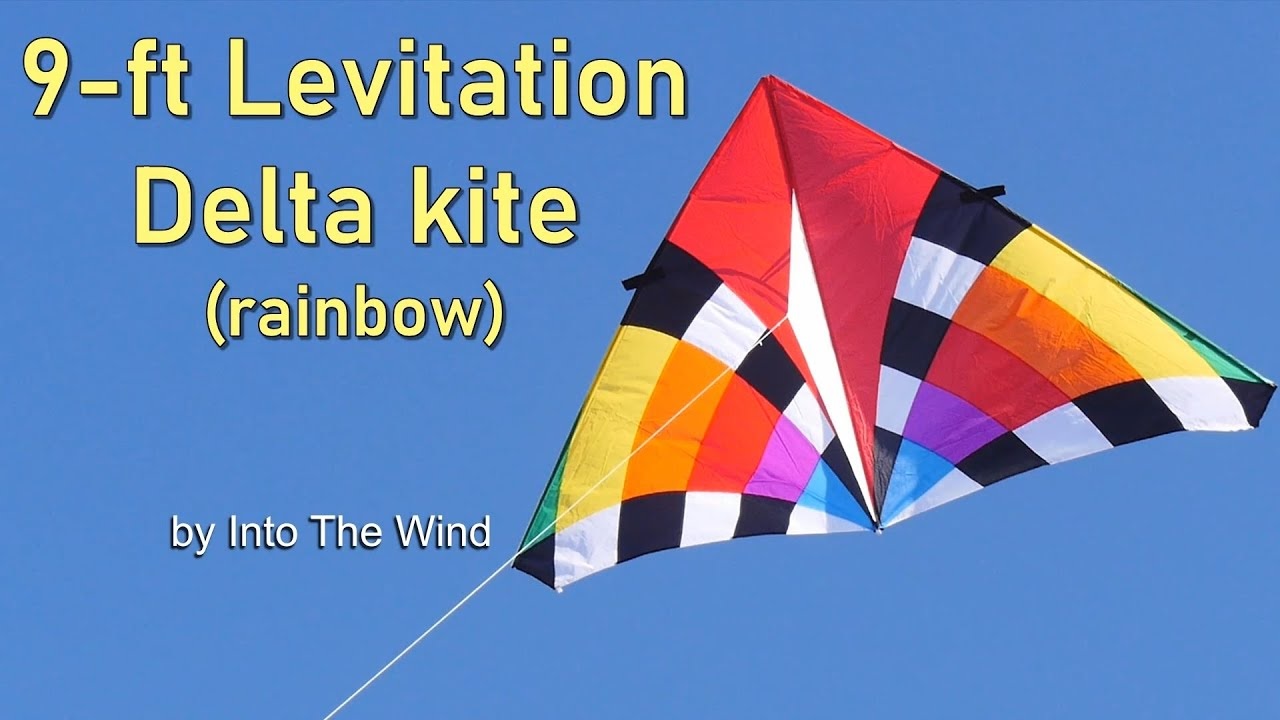 Into The Wind 9-ft Levitation Delta Rainbow Einleiner-Drachen-/bilder/big/2955018_1.jpg