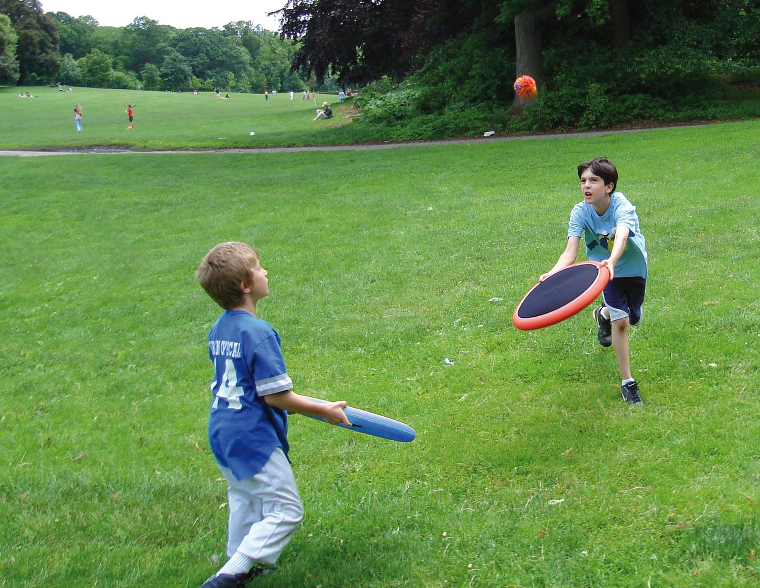 Schildkröt - Ogo Sport Set Mezo / Large Ø 38 cm-/bilder/big/3117031_3.jpg